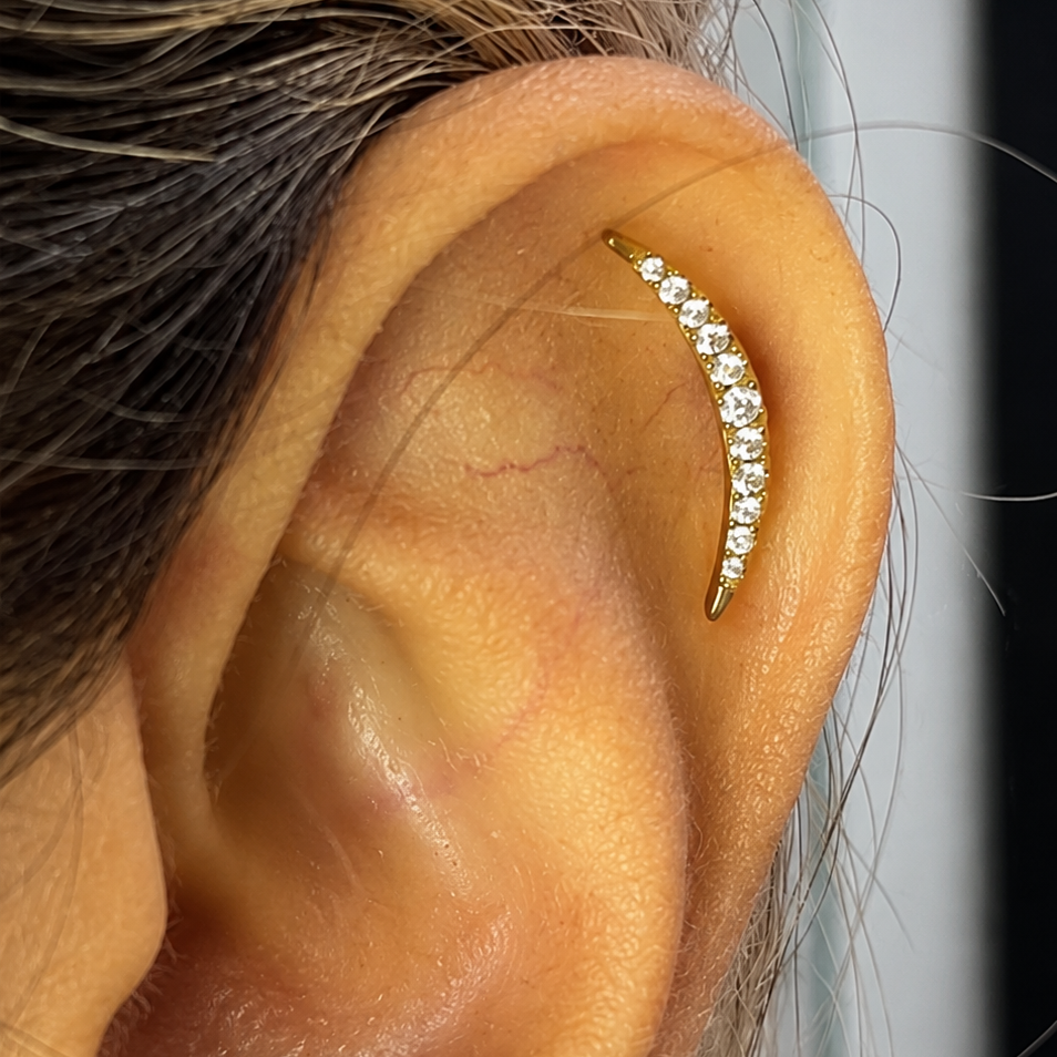 Roy - Helix Piercing